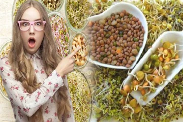 முளைக்கட்டிய தானியங்கள் சாப்பிட்டால் இத்தனை நன்மைகளா?