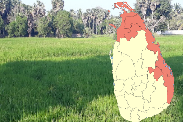 நிலையான மாத வருமானம் பெறாத விவசாயிகளுக்கு 42 அமெரிக்க டொலர்கள் வழங்க திட்டம்..! | People In The South Are In A Food Crisis Lanka