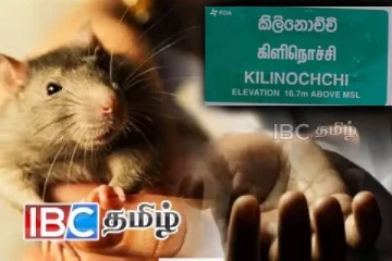 மக்களே அவதானம் - எலிக்காய்ச்சலால் பறிபோன குடும்பஸ்தரின் உயிர்