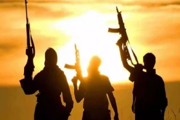 நைஜீரியா மோட்டார் பைக் கொள்ளையர்கள் சுட்டதில் 50 பேர் பலி