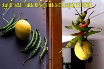 வாகனங்கள், கடைகளில் எலுமிச்சை- மிளகாய் தொங்க வைக்க காரணம் என்ன?