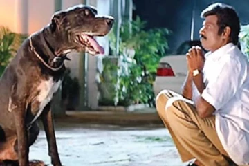 கவுண்டமணி தன் வீட்டு நாய்க்கு என்ன பெயர் வைத்தார் தெரியுமா, கேட்டா விழுந்து விழுந்து சிரிப்பீங்க