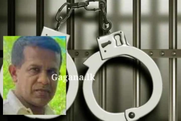 අතුරුදන් වූ කොලොන්නේ ව්යාපාරිකයා සැඟව සිටිය දී අත්අඩංගුවට ගනී - හේතුව ඔහුම පොලිසියට කියයි..