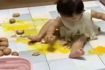 முட்டையை இப்படி தரையிலேயே ஆஃப் பாயில் போடலாமா? குழந்தையின் அட்டூழியம்