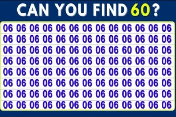 Optical illusion: இந்த படத்தில் “06“ என்ற இலக்கங்களில் “60“ என்ற எண் எங்கே உள்ளது?