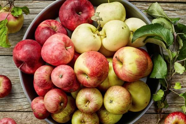 நுரையீரல் பாதிப்பை தடுக்க இந்த உணவுகளை உட்கொள்ளுங்க | Eat These Foods To Prevent Lung Damage