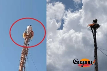 දේව ආශිර්වාදය ගන්න අඩි 60ක් උස කණුවකට නැගි තිදරු පියා ජීවිතක්ෂයට