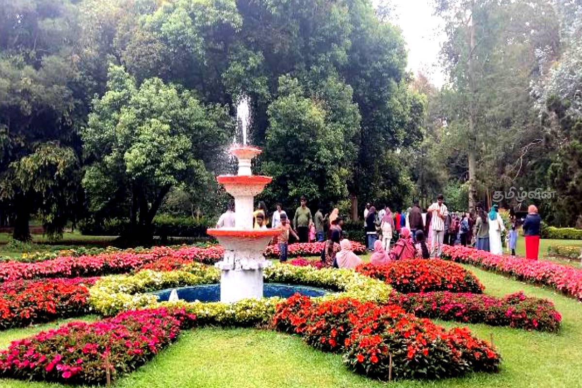 நுவரெலியாவுக்கு படையெடுக்கும் சுற்றுலா பயணிகள் - வசந்த கால கொண்டாட்டம் ஆரம்பம் | Tourists Going To Nuwara Eliya நுவரெலியாவுக்கு படையெடுக்கும் சுற்றுலா பயணிகள் - வசந்த கால கொண்டாட்டம் ஆரம்பம் | Tourists Going To Nuwara Eliya