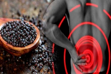 முள்ளந்தண்டு வலியை விரட்டியக்கும் கடுகு! 40 வயதை தாண்டும் பெண்கள் உஷார்!