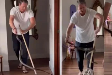 நொடிப்பொழுதில் தப்பித்த கிரிக்கெட் வீரர்... பாம்பை பிடித்த போது ஏற்பட்ட அசம்பாவிதம்