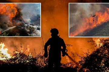 ஐரோப்பா முழுமையும்... 10 நாட்களில் ஆயிரக்கணக்கானோர் வெளியேற்றம்: அதிகரிக்கும் மரண எண்ணிக்கை