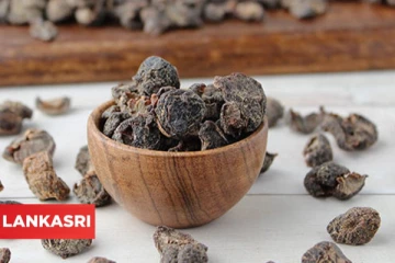 தினமும் ஒரு துண்டு காய்ந்த நெல்லிக்காயை சாப்பிடுவதால் ஏற்படும் பெறும் நன்மைகள் என்ன ?