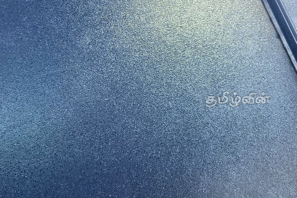 நுவரெலியாவில் உறைபனி பொழிவு : கவலை வெளியிட்ட மக்கள் | Early Morning Freezing Rain In Nuwara Eliya