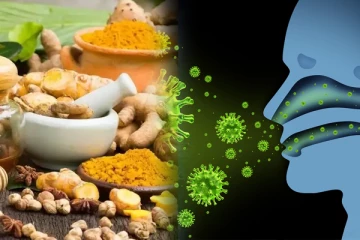 நோய் எதிர்ப்பு சக்தி குறையாமல் பலசாலியாக எப்போதும் இருக்கனுமா?