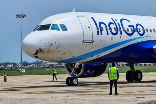 பறவை மோதியதில் அவசரமாக தரையிறக்கப்பட்ட இண்டிகோ விமானம் | Indigo Flight Makes Emergency Landing Bird Strike