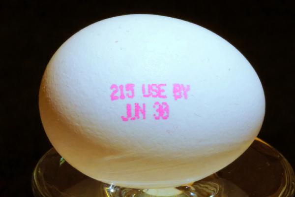 கோழி முட்டைகள் எப்போது காலாவதியாகும் தெரியுமா? | When Do Chicken Eggs Expire Explanation By Experts கோழி முட்டைகள் எப்போது காலாவதியாகும் தெரியுமா? | When Do Chicken Eggs Expire Explanation By Experts