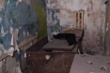 உக்ரைனில் இரகசிய சித்ரவதை முகாம்கள்! மின்சாரம் பாய்ச்சி கொடுமைப்படுத்திய ரஷ்யா: அதிர்ச்சி தகவல்