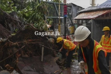 09 වැනි වතාවටත් ආ Saola නිසා බර 50kg ට අඩු අයට මාර්ගවල ගමන් නොකරන්නැයි තහනමක්..