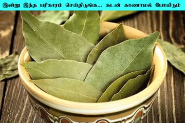 உங்களது மொத்த கடனும் அடையணுமா? உடனே இந்த பரிகாரம் செய்திடுங்க