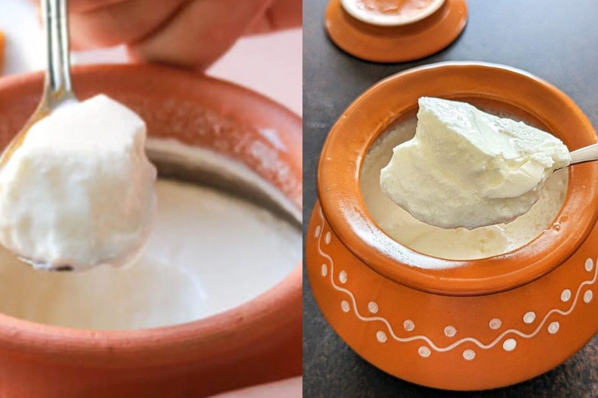 தயிரை எத்தனை நாட்கள் பிரிட்ஜில் வைத்து பயன்படுத்தலாம்? | How Long We Can Store Curd In Fridge