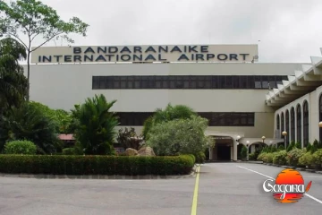 රුපියල් මිලියන 50ක් පමණ වටිනා විදේශ දුම්වැටි තොගයක් රේගු භාරයට