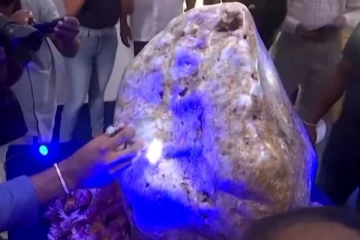 கின்னஸ் புத்தகத்திலும் இடம் பிடித்த இலங்கையின் பொக்கிசம்!