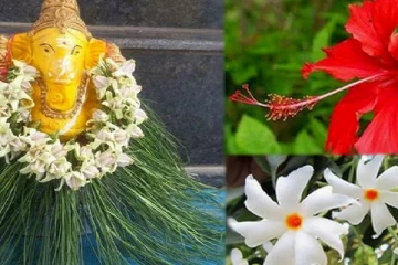 எந்த தெய்வத்தை எந்த மலர் கொண்டு பூஜிக்க வேண்டும் தெரியுமா! இப்படி வழிபட்டால் நல்ல பலன் கிடைக்கும்!