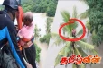 கொட்டித் தீர்க்கும் மழை! தென்னை மரத்தில் சிக்கியவரை பாதுகாப்பாக மீட்ட படையினர்