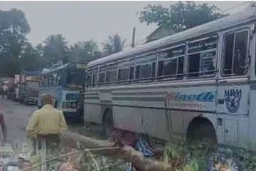 மரம் விழுந்ததால் போக்குவரத்து முற்றிலுமாக தடை