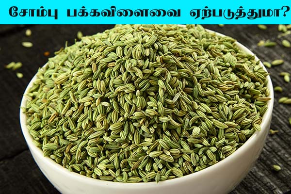 சோம்பு பக்கவிளைவை ஏற்படுத்துமா? - மனிதன்