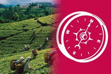 தேசிய மக்கள் சக்தியின் ஆட்சியில் மலையகத் தமிழர்களின் பொற்காலம்