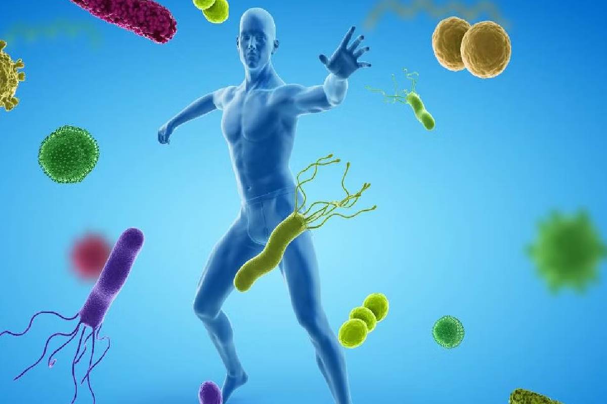 ஆரோக்கியத்தை காக்கும் கொள்ளு பருப்பு ; தினமும் ஏன் சாப்பிட வேண்டும் தெரியுமா? | Benefits Of Adding Dal To Your Daily Diet ஆரோக்கியத்தை காக்கும் கொள்ளு பருப்பு ; தினமும் ஏன் சாப்பிட வேண்டும் தெரியுமா? | Benefits Of Adding Dal To Your Daily Diet