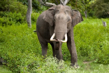 4 பிள்ளைகளின் தந்தைக்கு அதிகாலையில் நேர்ந்த துயரம்