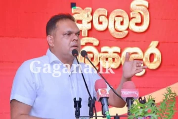 ආර්ථිකයේ ප්‍රගතිය බැංකු පද්ධතියට ශක්තියක් - රාජ්‍ය අමාත්‍ය ශෙහාන් සේමසිංහ
