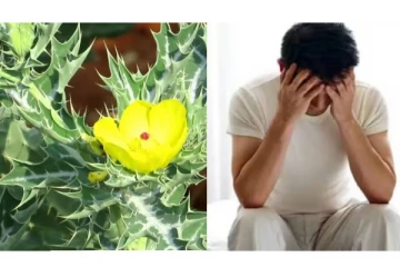 ஆண்களே விந்தணு எண்ணிக்கை குறைவா இருக்கா? 21 நாட்கள் இதை சாப்பிட்டால் போதும்!