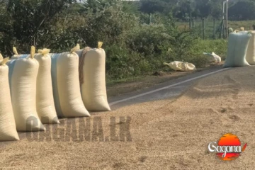 අනේ වී ටික වේල වේල හිටපු දෙන්නා හමුදා ට්‍රක් රථයට බිළි