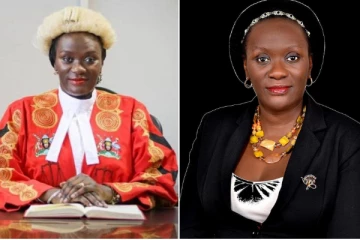 ஐ.நா நீதிபதி ஒருவருக்கு பிரித்தானியாவில் சிறைத்தண்டனை: விவரம் செய்திக்குள்