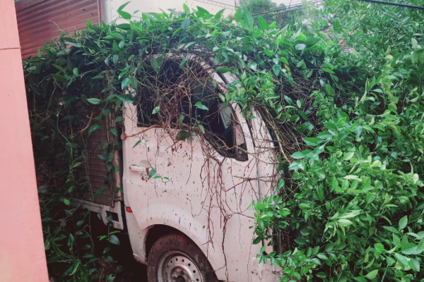 மதிலை உடைத்துக் கொண்டு வீட்டுக்குள் புகுந்த லொறி | Midnight Lorry Accident In Batticaloa மதிலை உடைத்துக் கொண்டு வீட்டுக்குள் புகுந்த லொறி | Midnight Lorry Accident In Batticaloa