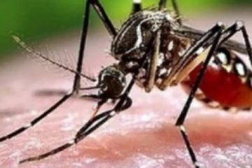 அதிகரிக்கும் டெங்குநோய் - மக்களுக்கு எச்சரிக்கை