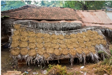 இறந்த பசுவில் இருந்து உரம்… மாதம் லட்சக்கணக்கில் சம்பாதிக்கும் சிவில் இன்ஜினியர்!