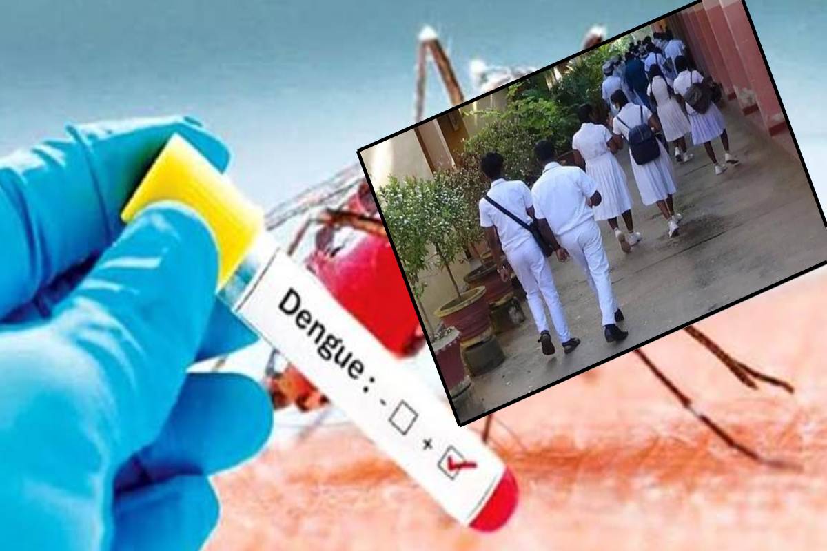 டெங்கு தீவிரம்; பாடசாலை மற்றும் பல்கலைக்கழங்களை மூட வலியுறுத்து | Dengue Outbreak Calls Close Schools Universities