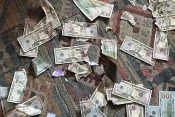 4,000 டொலர்களை கடித்துக் குதறிய செல்லப்பிராணி: அதிர்ச்சியில் ஆழ்ந்த தம்பதியர்