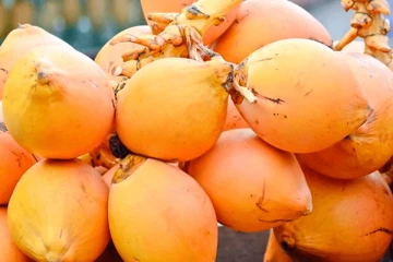 තැඹිලි මිලෙහි සිදු වූ සීඝ්‍ර වෙනස.