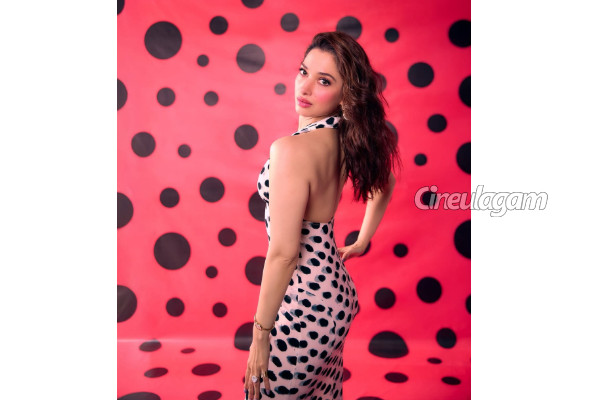 திருமணம் செய்து குழந்தைகளைப் பெறுவேன்.. தமன்னாவின் எதிர்பாராத பதில்! | Tamannaah Open Talk About Age Goes Viral