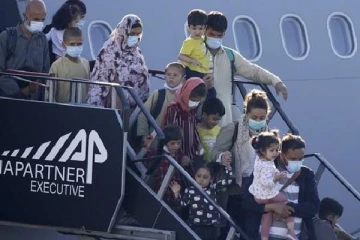 போலந்து  முகாமில் காளான் உண்ட ஆப்கான் சிறுவர்களுக்கு நேர்ந்த சோகம்!