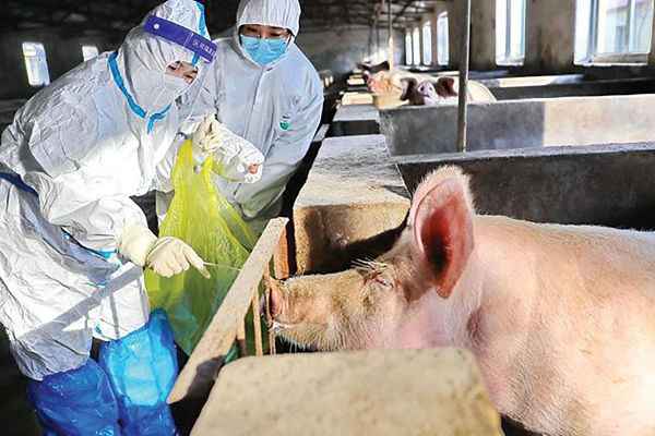 கேரளாவை அச்சுறுத்தும் மற்றுமொரு தொற்று! | Another Infection Threatening Kerala