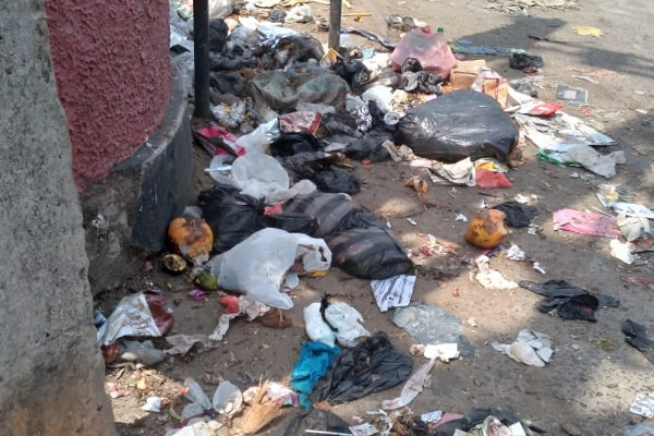 குப்பைகளில் இருந்து எடுக்கப்பட்ட முகவரிகள்: அதிகாரிகள் அதிரடி நடவடிக்கை | Addresses Taken From The Trash Authorities Action