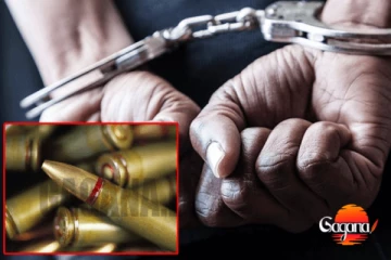 කූවේට්වලින් ආ ඉන්දියානුවා ජීව උණ්ඩයක් සමග අත්අඩංගුවට