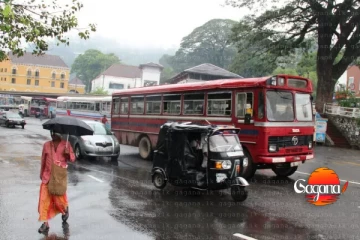 බිහිසුණු අනාවරණයක් - රියදුරන්ගෙන් හා ජනතාවගෙන් ඉල්ලීමක්