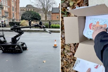 லண்டன் பூங்காவில் கிடந்த மர்ம பார்சல்... வெடிகுண்டு நிபுணர்கள் குவிப்பு